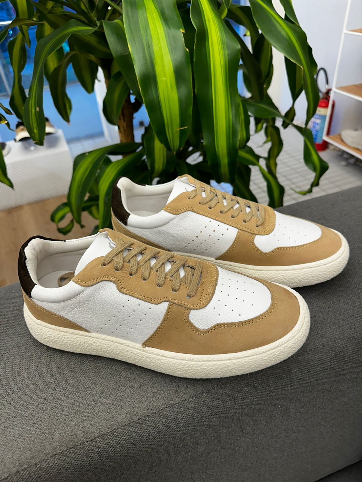 33401-BRANCO-43
