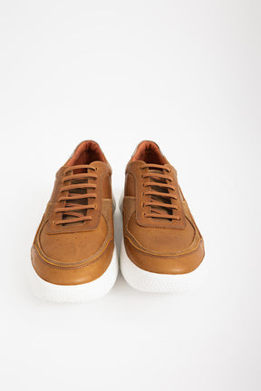 50017-GRECO-PISTACHE-37