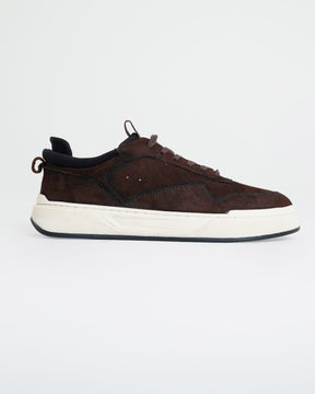 Sneaker Main Brooklyn - Café